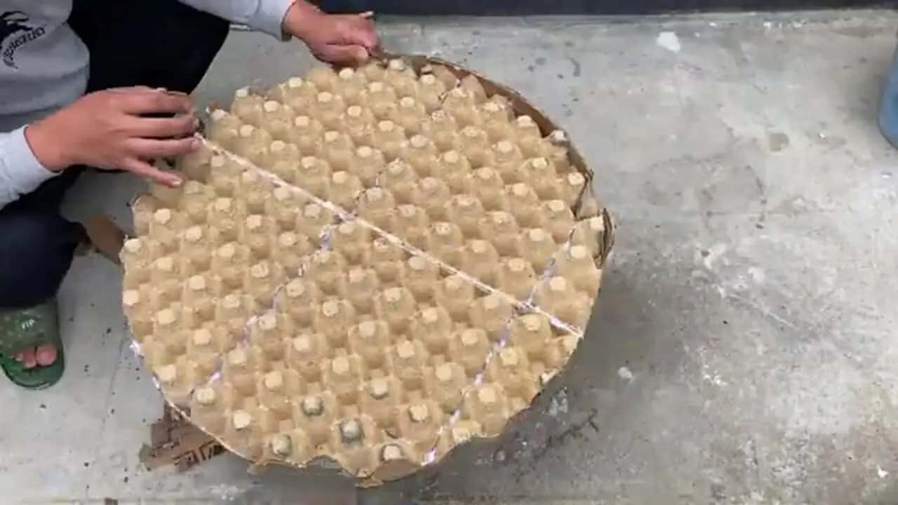 خرید شانه تخم مرغ